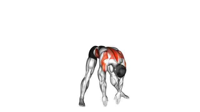 Wide Stance Thoracic Rotation exercise demonstration