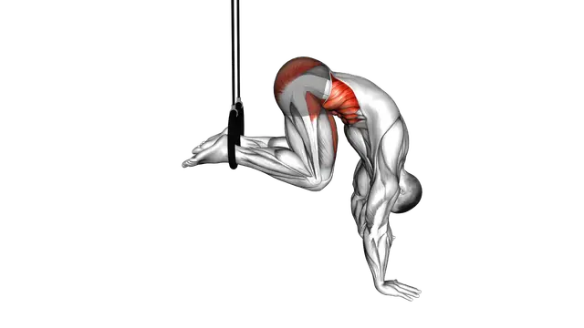 Ring Isometric Hold Reverse Ab Rollout exercise demonstration