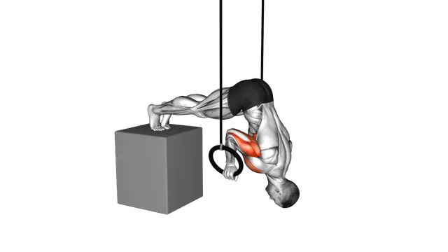Ring Elevanted Pike Push up from deficit exercise demonstration
