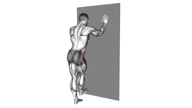 Wall Supported Side Leg Swing exercise demonstration