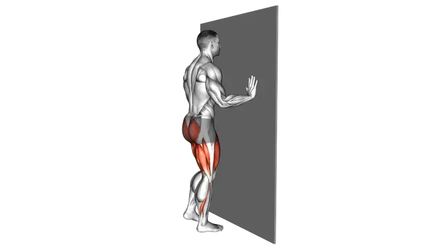 Wall Supported Reverse Lunge exercise demonstration