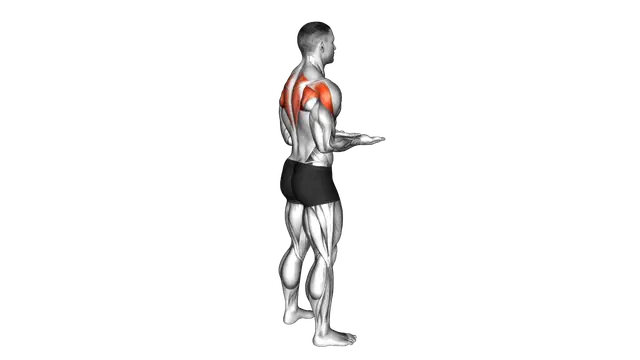 Bodyweight Standing Scapular External Rotation exercise demonstration