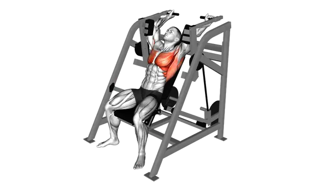 Lever Alternating Pullover (plate loaded) exercise demonstration