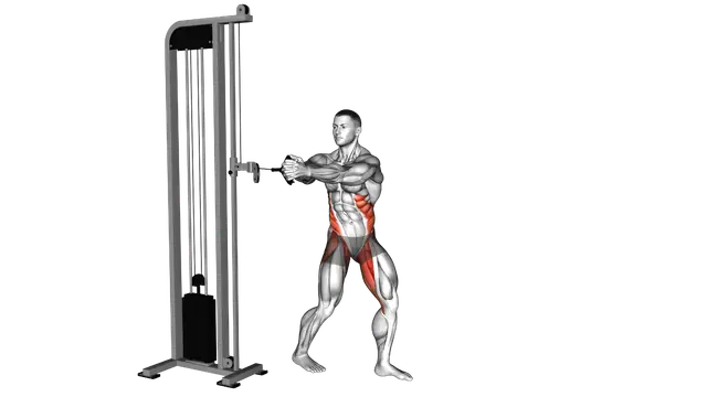 Cable Oblique Twist exercise demonstration