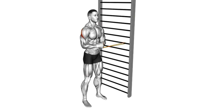 Resistance Band Standing Shoulder External Rotatio exercise demonstration