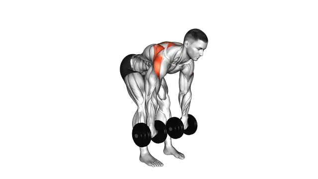 Dumbbell Bent Over Wide Row exercise demonstration