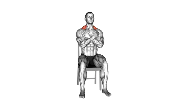 Bodyweight Sitting Alternating Shrug exercise demonstration