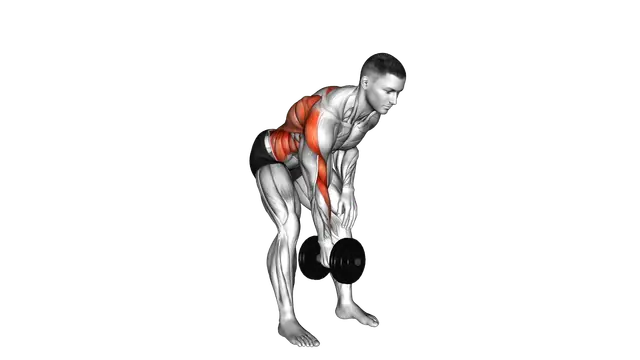 Dumbbell Bent over Twisting Row exercise demonstration