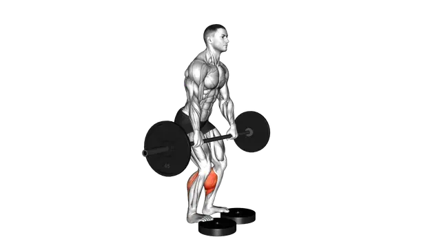 Barbell Standing Bent Knee Calf Raise from Deficit exercise demonstration