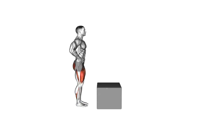 Step Up on Box exercise demonstration