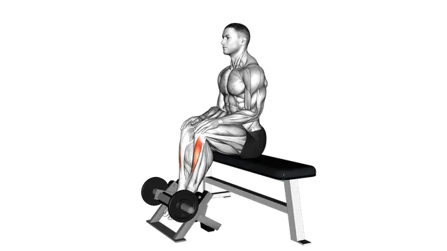 Lever Sitting Toe Raise exercise demonstration