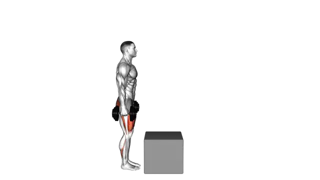 Dumbbell Step over Box exercise demonstration