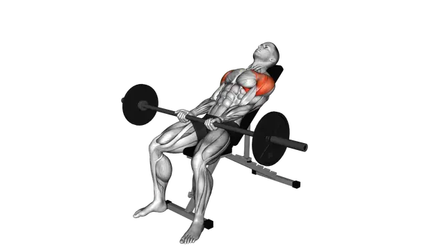 Barbell Incline Front Raise exercise demonstration