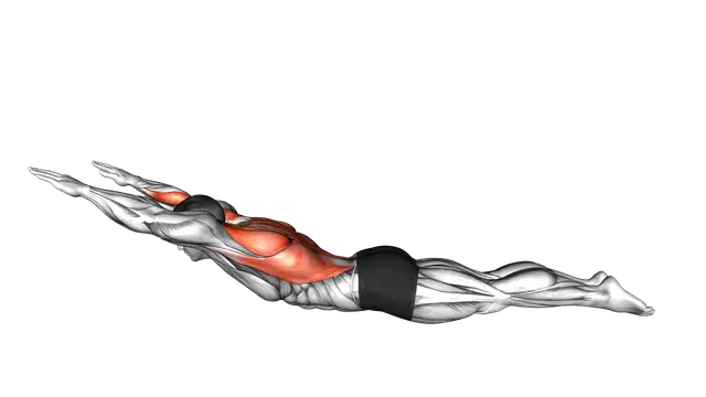 Lying Upper Body Superman Row exercise demonstration