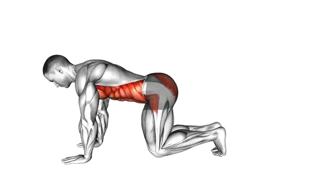 Plank from Knees exercise demonstration
