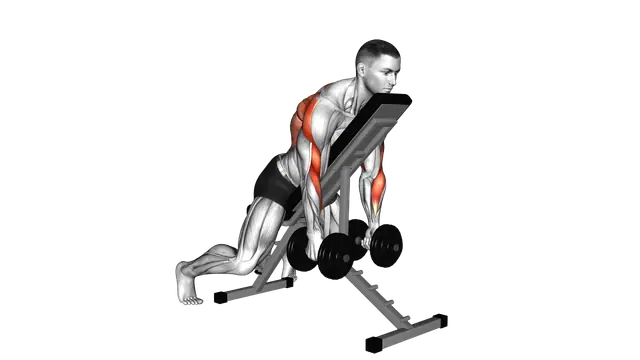 Dumbbell Row with Chest Supported exercise demonstration