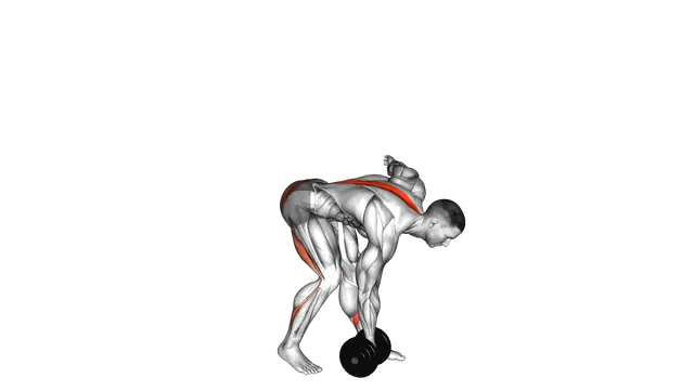 Dumbbell Single Leg Romanian Deadlift exercise demonstration