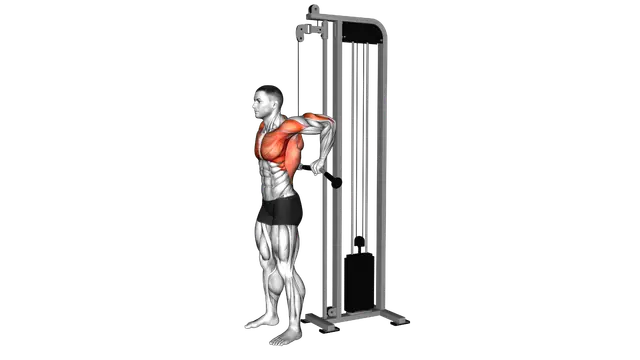 Cable Behind The Back Tricep Dip exercise demonstration