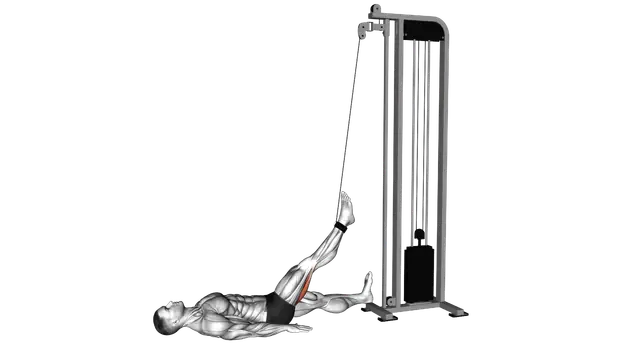 Cable Lying Single Leg Curl exercise demonstration