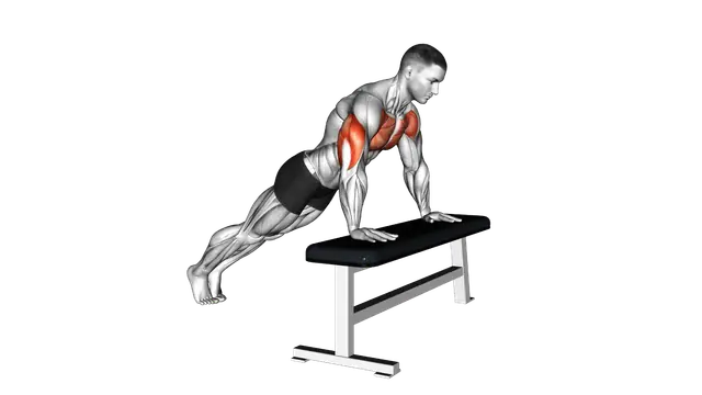 Incline Push up with Bench exercise demonstration