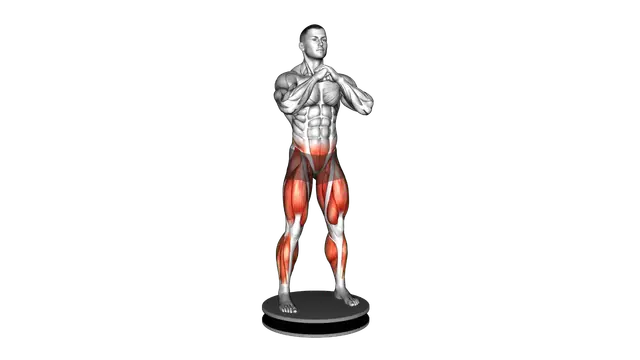 Balance Disk Squat exercise demonstration