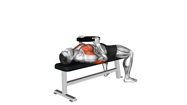 Weighted Plate Bench Press exercise demonstration