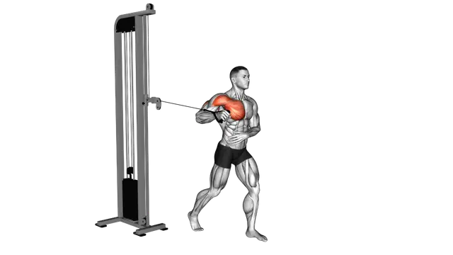 Cable Standing Single Arm Chest Press exercise demonstration
