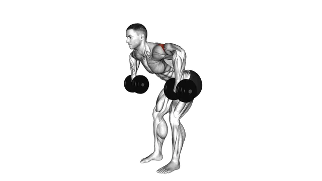 Dumbbell Bent Over External Rotation exercise demonstration