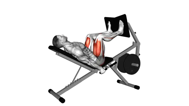 Lever Bench Leg Press exercise demonstration
