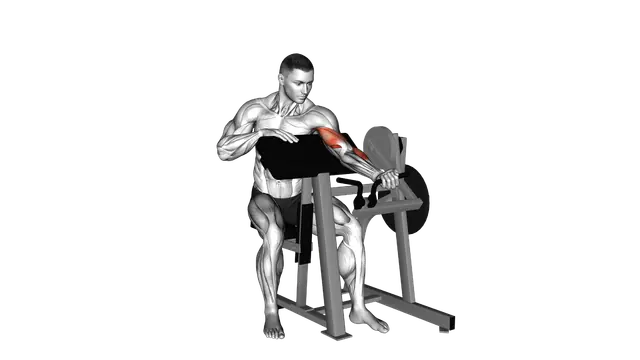 Lever Single Arm Preacher Curl (plate loaded) exercise demonstration