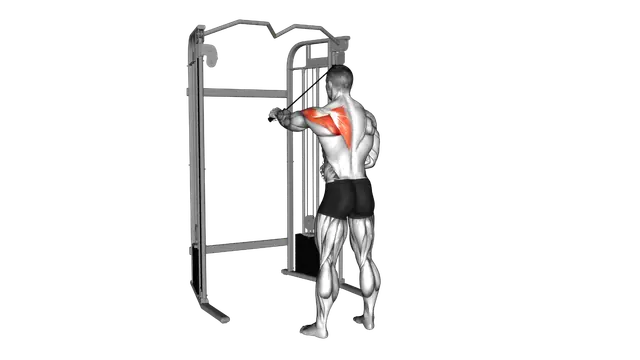 Cable 45 degrees Single Arm Reverse Fly exercise demonstration