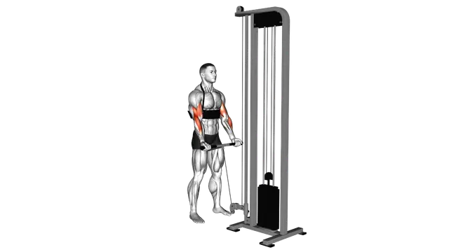 Cable Biceps Curl (with arm blaster) exercise demonstration