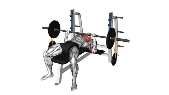 Barbell Banded Weighted Plate Bench Press exercise demonstration