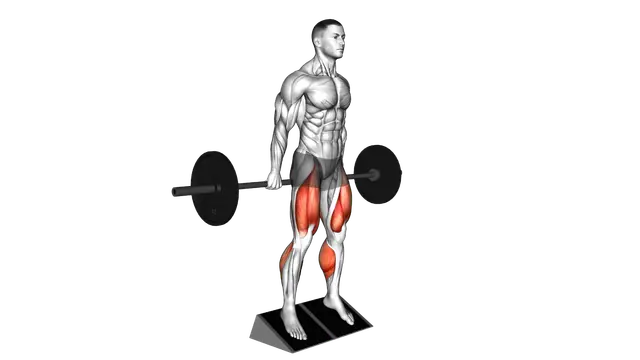 Barbell Elevated Hack Squat exercise demonstration