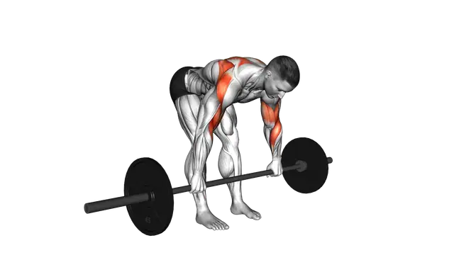 Barbell Bent over Rear Delt Row exercise demonstration