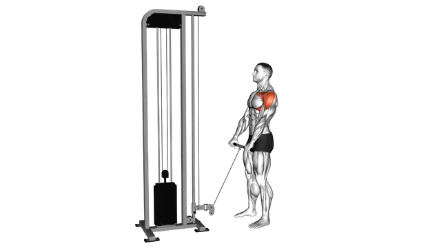 Cable Full Front Raise exercise demonstration