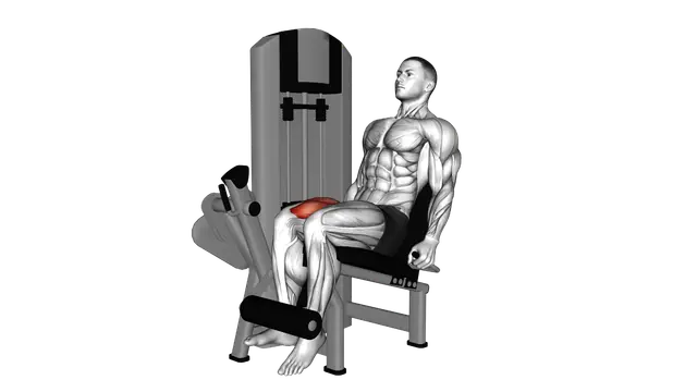 Lever Isometric Leg Extension exercise demonstration