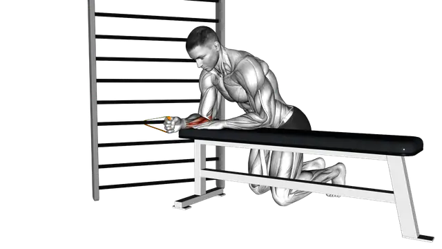 Resistance Band Wrist Flexion exercise demonstration